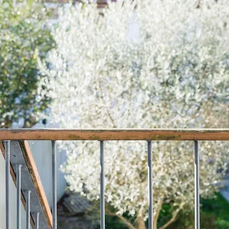 Guestready - Daisy Boutique Πόρτο