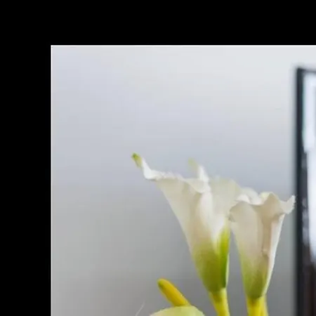 Guestready - Daisy Boutique Appartement